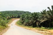 Foto: Cilts sievietes un saldūdens delfīnu meklējumi Borneo